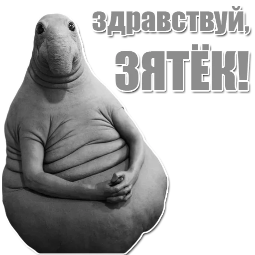 Стикер из набора Ждун для Телеграм: Статические 🤗