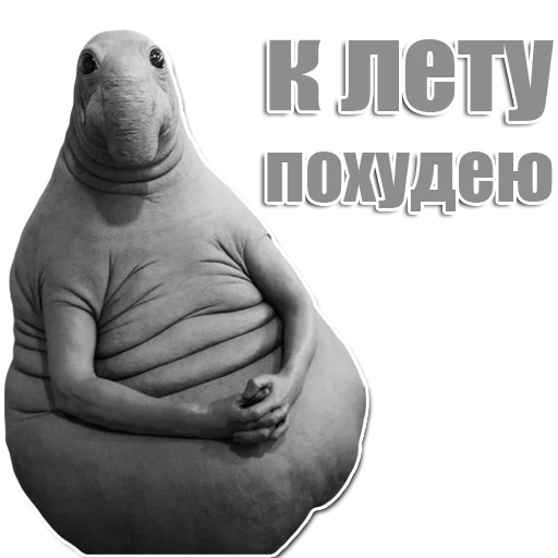 Стикер из набора Ждун для Телеграм: Статические 😎