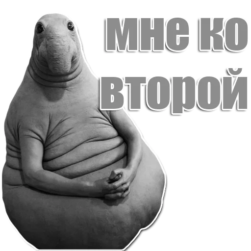 Стикер из набора Ждун для Телеграм: Статические 🙂