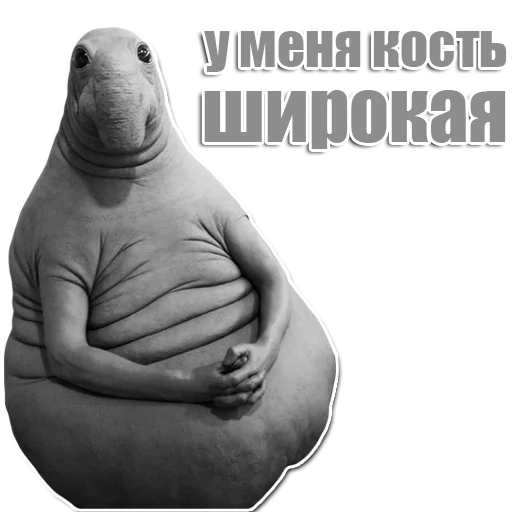 Стикер из набора Ждун для Телеграм: Статические 😜