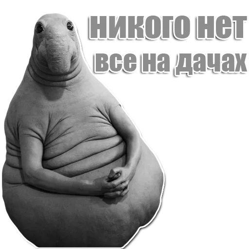 Стикер из набора Ждун для Телеграм: Статические 😬