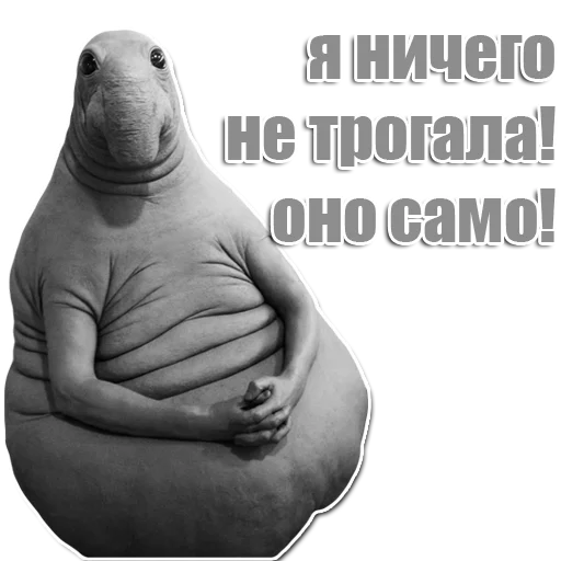 Стикер из набора Ждун для Телеграм: Статические 😔