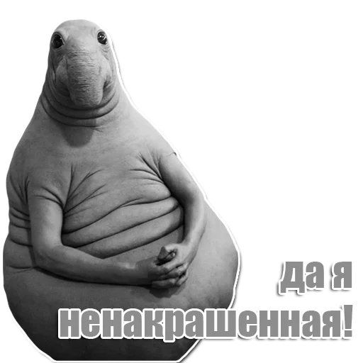 Стикер из набора Ждун для Телеграм: Статические 👽