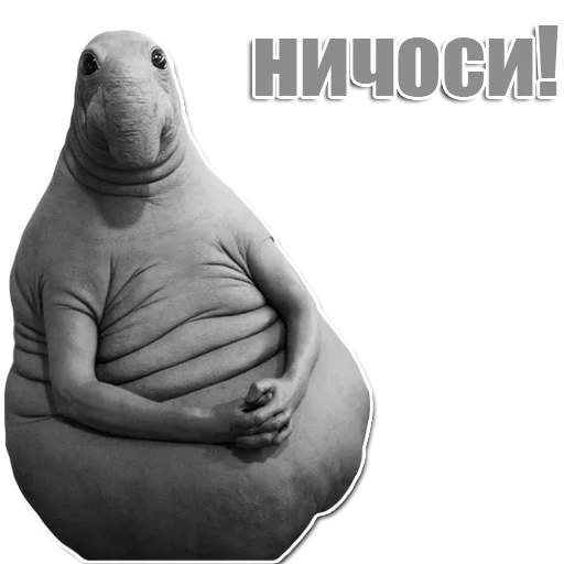 Стикер из набора Ждун для Телеграм: Статические 😨