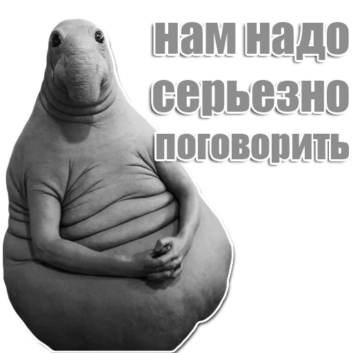 Стикер из набора Ждун для Телеграм: Статические 😒