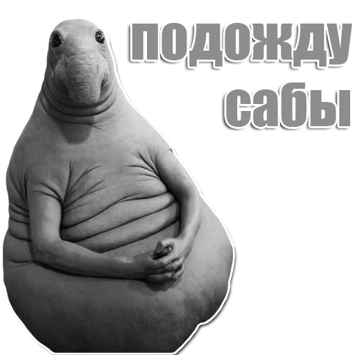 Стикер из набора Ждун для Телеграм: Статические 🙄