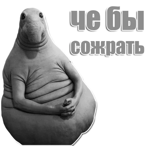 Стикер из набора Ждун для Телеграм: Статические 😕