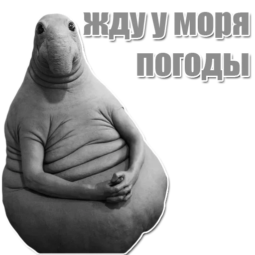 Стикер из набора Ждун для Телеграм: Статические 😶