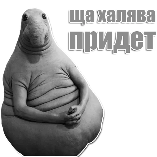 Стикер из набора Ждун для Телеграм: Статические 😬