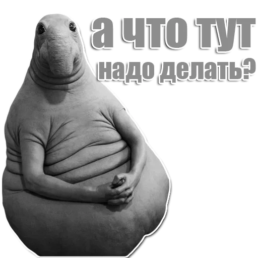 Стикер из набора Ждун для Телеграм: Статические 🤔