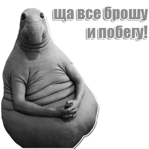 Стикер из набора Ждун для Телеграм: Статические 😒
