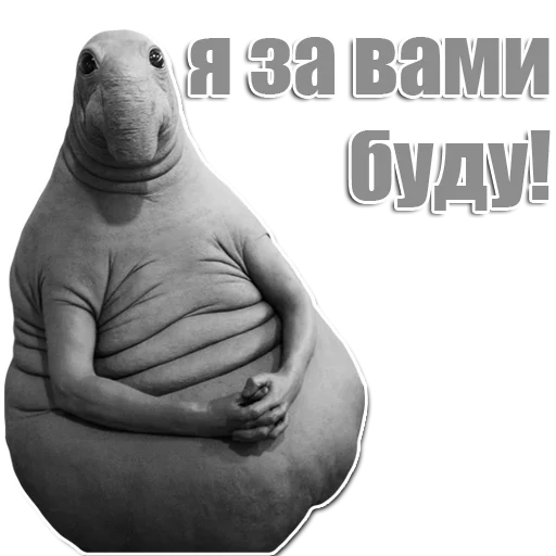 Стикер из набора Ждун для Телеграм: Статические 🙃