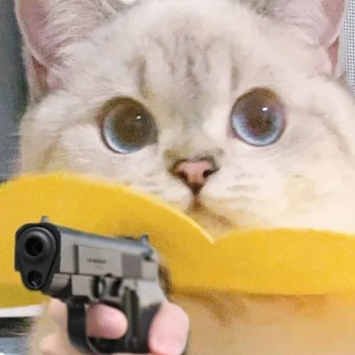 Стикер из набора Zuzu & Nana Reactions для Телеграм: Статические 🔫