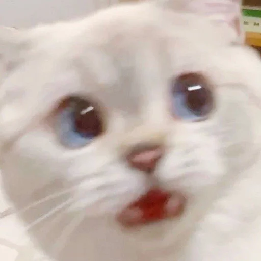 Стикер из набора Zuzu & Nana Reactions для Телеграм: Статические 😱