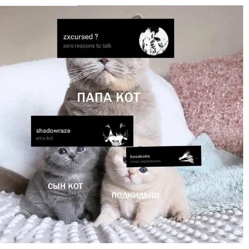 Стикер из набора Zxc? Dead inside для Телеграм: Статические 🤕