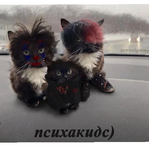 Стикер из набора Zxc? Dead inside для Телеграм: Статические 🖤