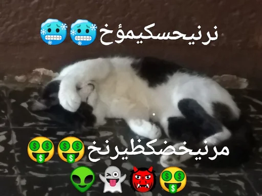Стикер из набора momasos vicente для Телеграм: Статические 🔗