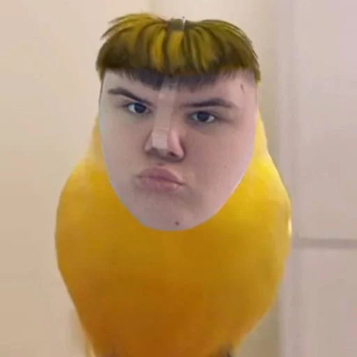 Стикер из набора 33 для Телеграм: Статические 🦜