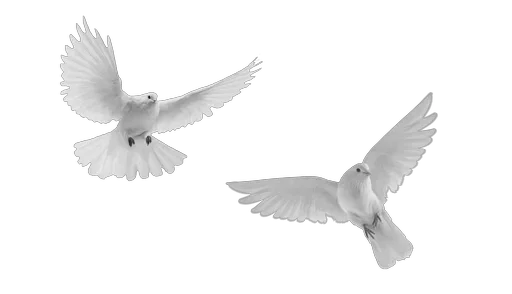 Стикер из набора @Belovebd Page для Телеграм: Статические 🕊