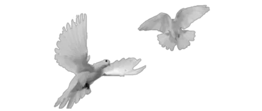 Стикер из набора @Belovebd Page для Телеграм: Статические 🕊