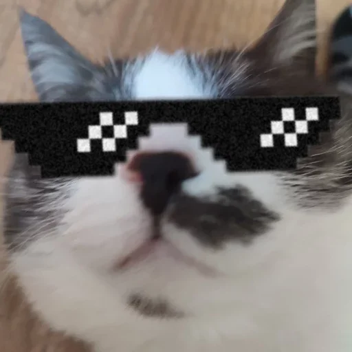 Стикер из набора борман228 для Телеграм: Статические 😎