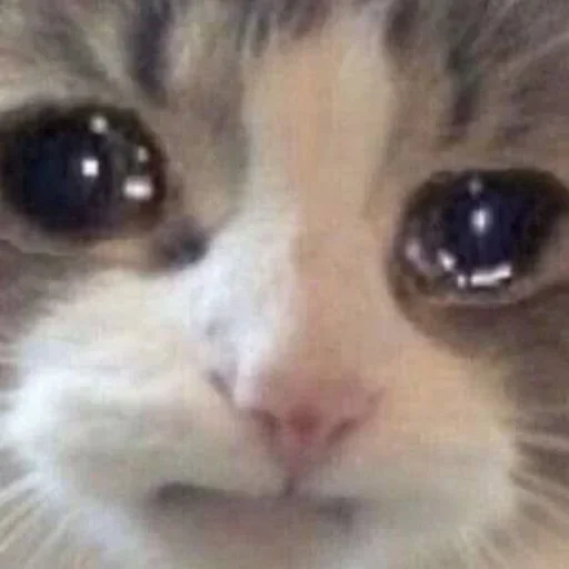 Стикер из набора @Pixel_Gamerz Vol.4 для Телеграм: Статические 🥺