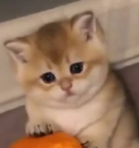 Стикер из набора @Pixel_Gamerz Vol.4 для Телеграм: Статические 🥺