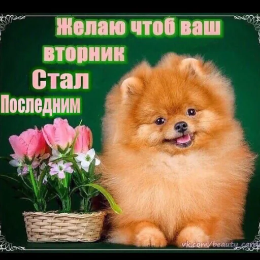 Стикер из набора пикчи соул для Телеграм: Статические 😊