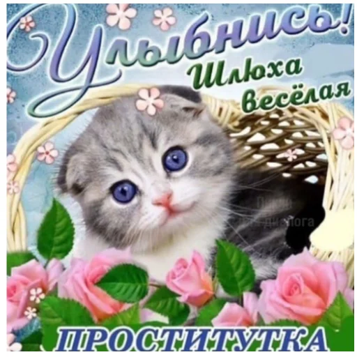 Стикер из набора пикчи соул для Телеграм: Статические 🐱