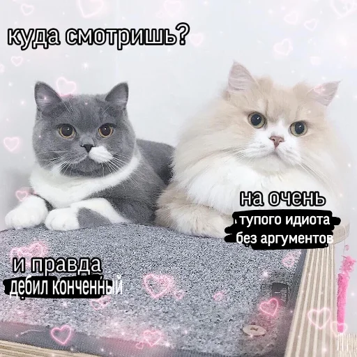 Стикер из набора пикчи соул для Телеграм: Статические 👭