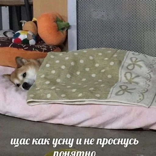 Стикер из набора пикчи соул для Телеграм: Статические 🛌