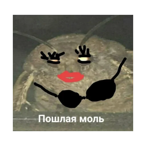Стикер из набора ГЕСТАПА для Телеграм: Статические 👙
