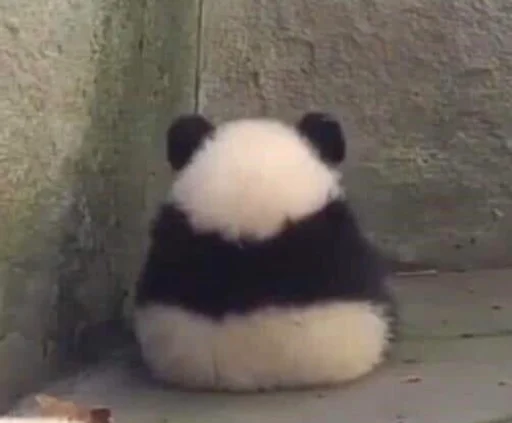 Стикер из набора 哈哈好笑 для Телеграм: Статические 🥺