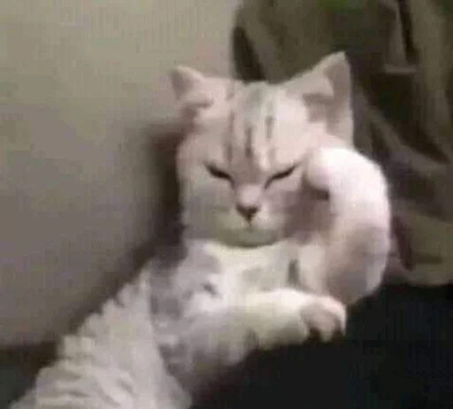 Стикер из набора 哈哈好笑 для Телеграм: Статические 😒