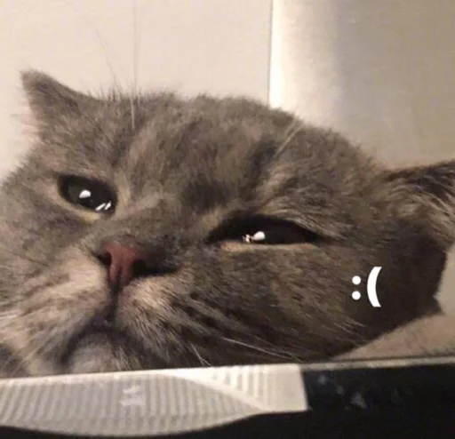 Стикер из набора 哈哈好笑 для Телеграм: Статические ☹️