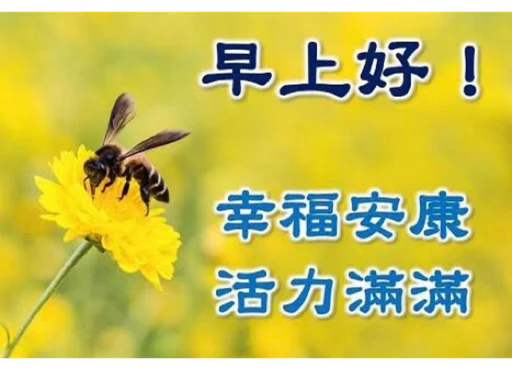 Стикер из набора 哈哈好笑 для Телеграм: Статические 🌞
