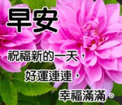 Стикер из набора 哈哈好笑 для Телеграм: Статические ☀️