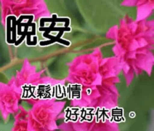 Стикер из набора 哈哈好笑 для Телеграм: Статические 🌙