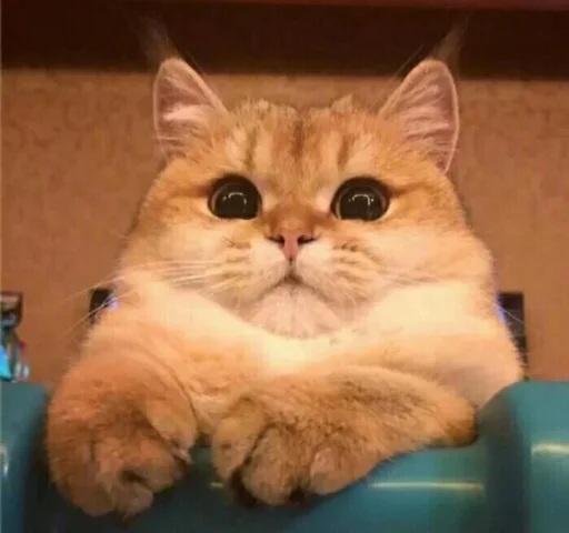 Стикер из набора 哈哈好笑 для Телеграм: Статические 😳
