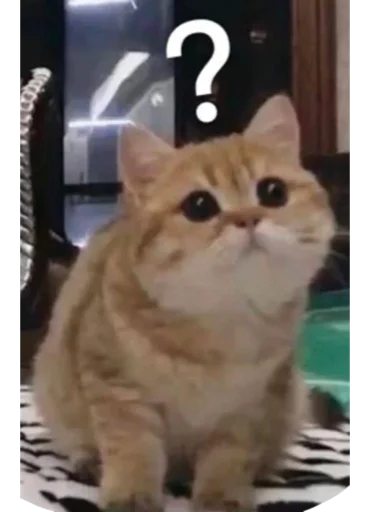 Стикер из набора 哈哈好笑 для Телеграм: Статические ❓