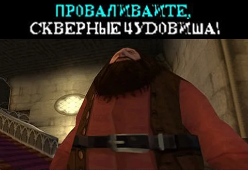 Стикер из набора Гарри Поттер Перевод для Телеграм: Статические 🤬