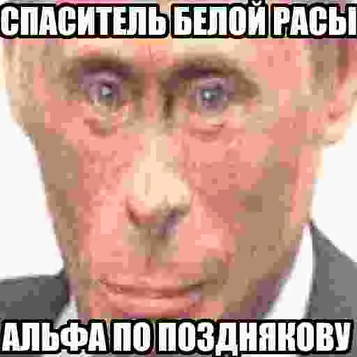 Стикер из набора БЫДЛОГЕДДОН для Телеграм: Статические 💩