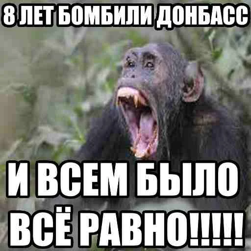 Стикер из набора БЫДЛОГЕДДОН для Телеграм: Статические 🇷🇺