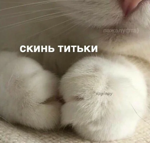 Стикер из набора я люблю тебя!! для Телеграм: Статические ❤️