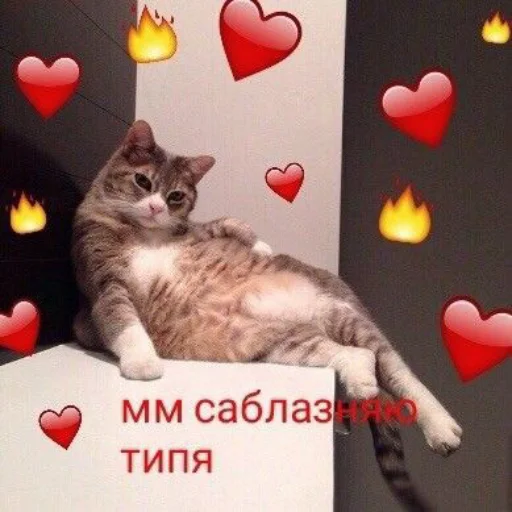 Стикер из набора я люблю тебя!! для Телеграм: Статические ❤️