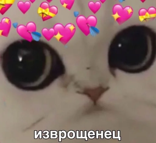 Стикер из набора я люблю тебя!! для Телеграм: Статические ❤️