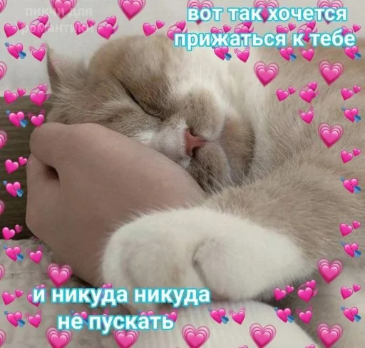 Стикер из набора я люблю тебя!! для Телеграм: Статические ❤️