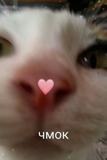 Стикер из набора я люблю тебя!! для Телеграм: Статические ❤️
