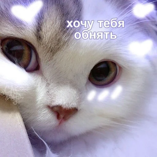 Стикер из набора я люблю тебя!! для Телеграм: Статические ❤️