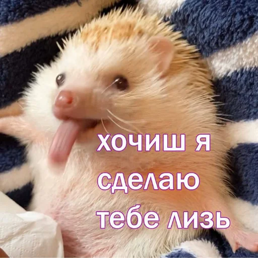 Стикер из набора я люблю тебя!! для Телеграм: Статические ❤️